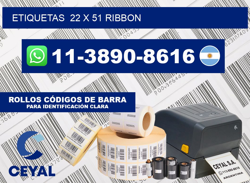 Etiquetas  22 x 51 ribbon