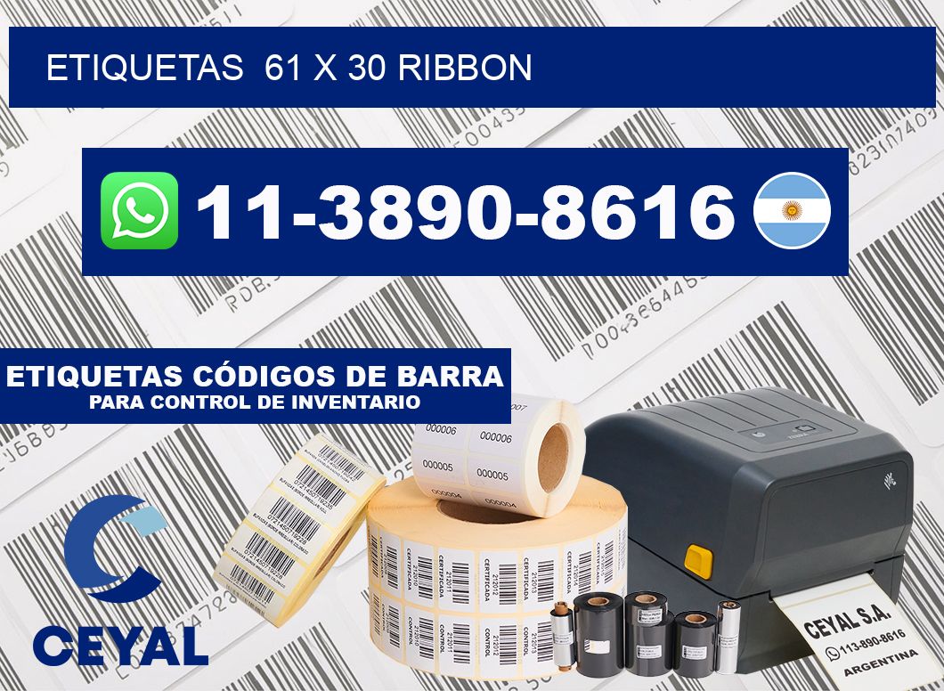 Etiquetas  61 x 30 ribbon