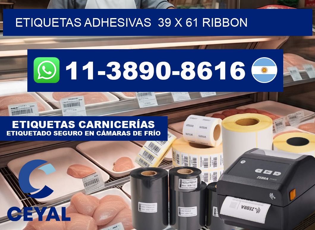 Etiquetas adhesivas  39 x 61 ribbon