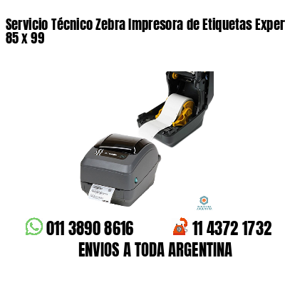 Servicio Técnico Zebra Impresora de Etiquetas Experto 85 x 99
