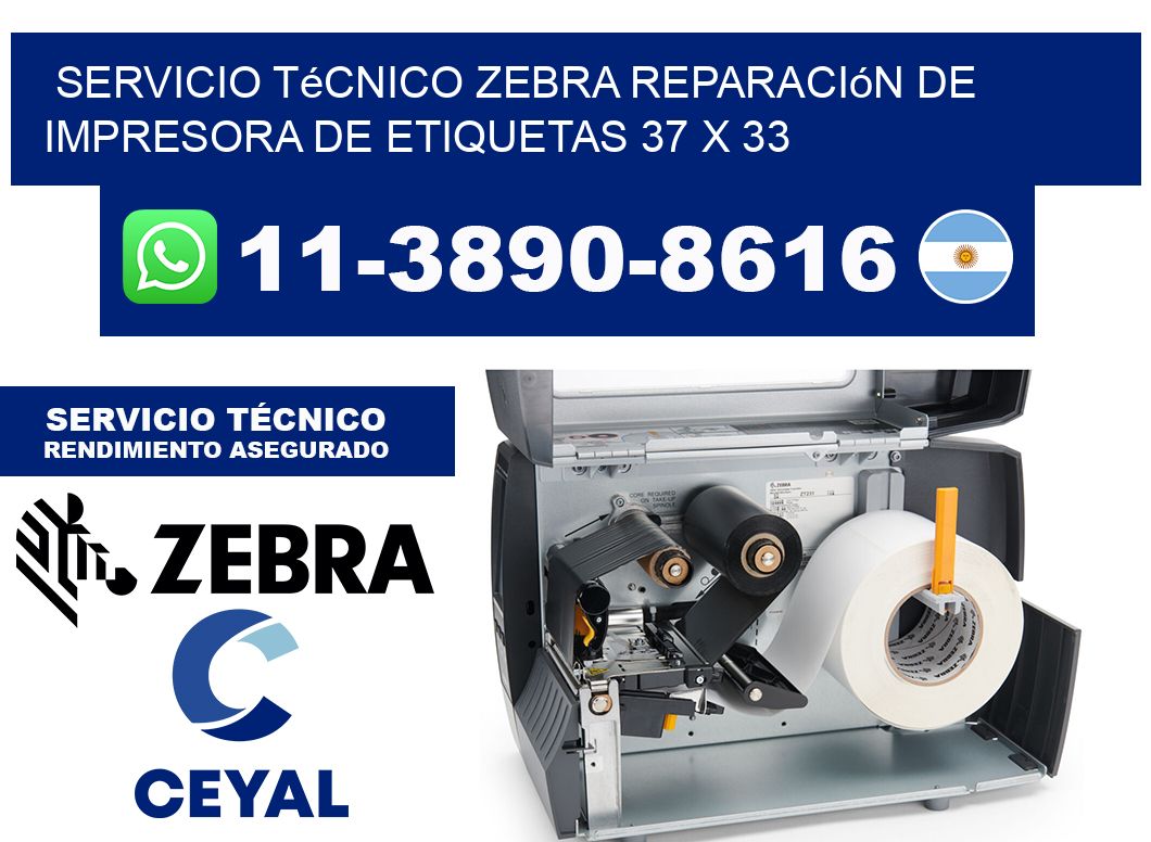 Servicio Técnico Zebra Reparación de Impresora de Etiquetas 37 x 33