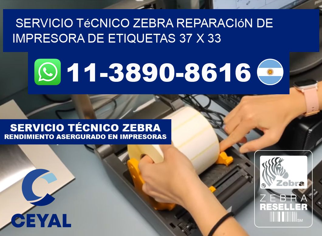 Servicio Técnico Zebra Reparación de Impresora de Etiquetas 37 x 33