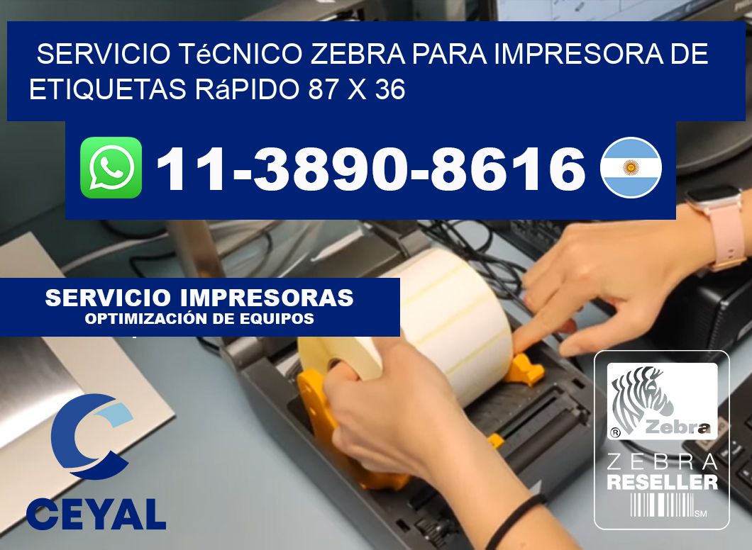 Servicio Técnico Zebra para Impresora de Etiquetas Rápido 87 x 36
