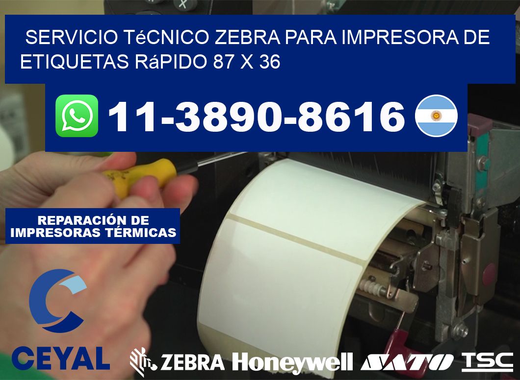 Servicio Técnico Zebra para Impresora de Etiquetas Rápido 87 x 36