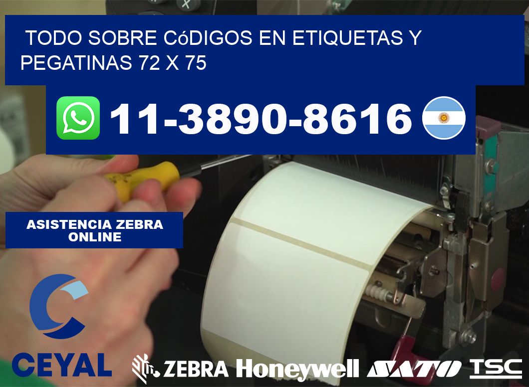 Todo sobre códigos en etiquetas y pegatinas 72 x 75