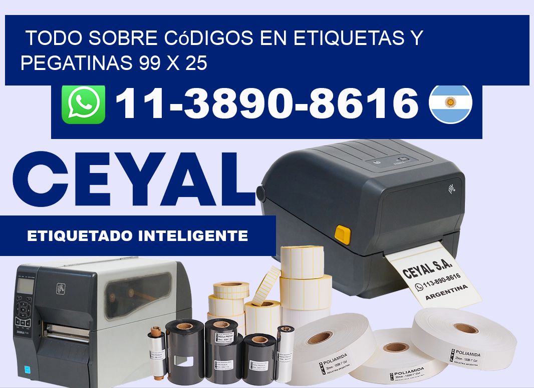 Todo sobre códigos en etiquetas y pegatinas 99 x 25