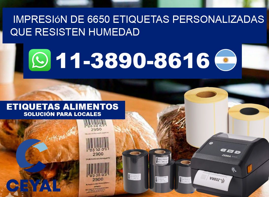 impresión de 6650 etiquetas personalizadas que resisten humedad