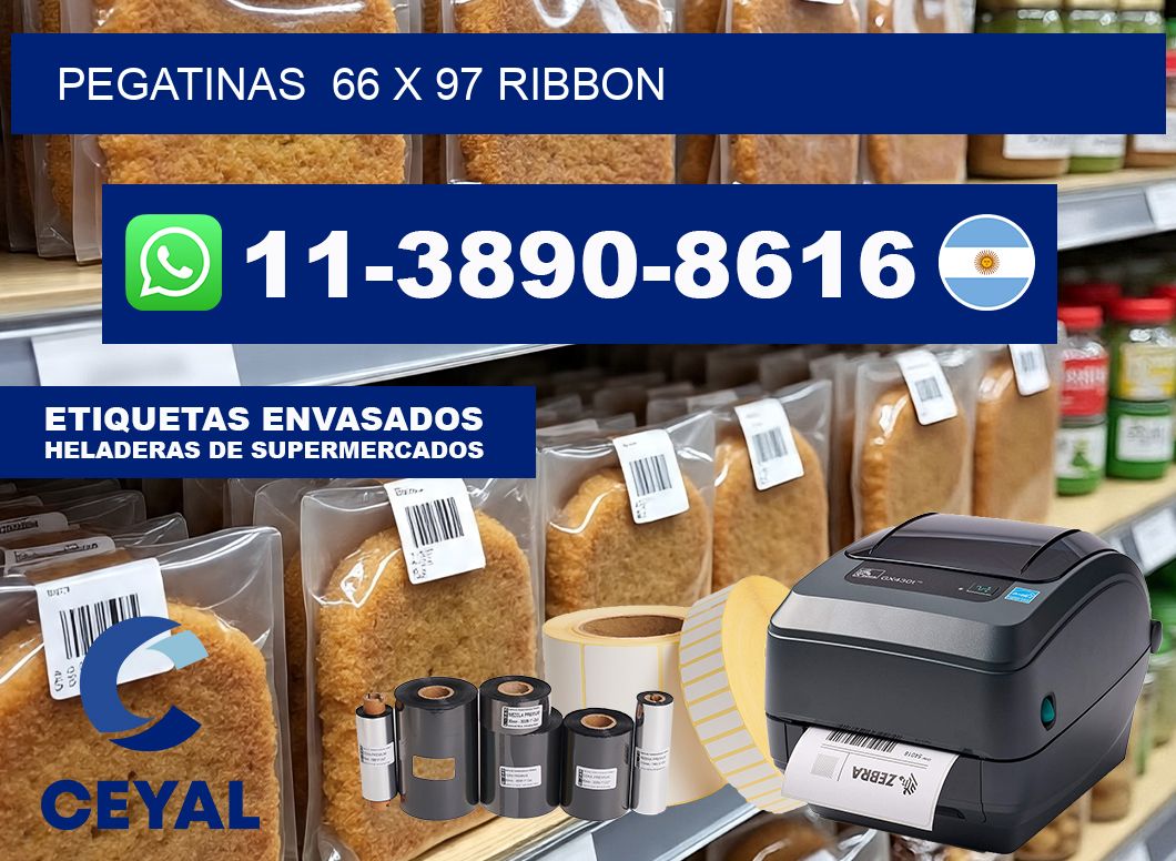 pegatinas  66 x 97 ribbon