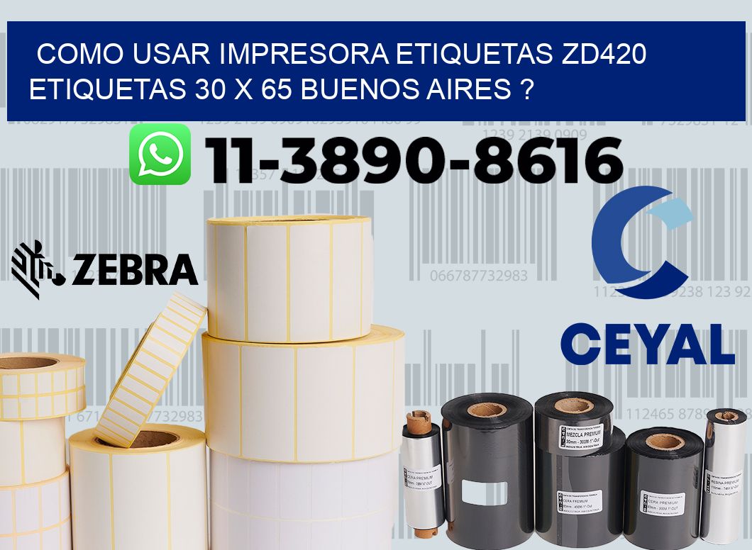 como usar impresora etiquetas zd420 etiquetas 30 x 65 Buenos Aires ?