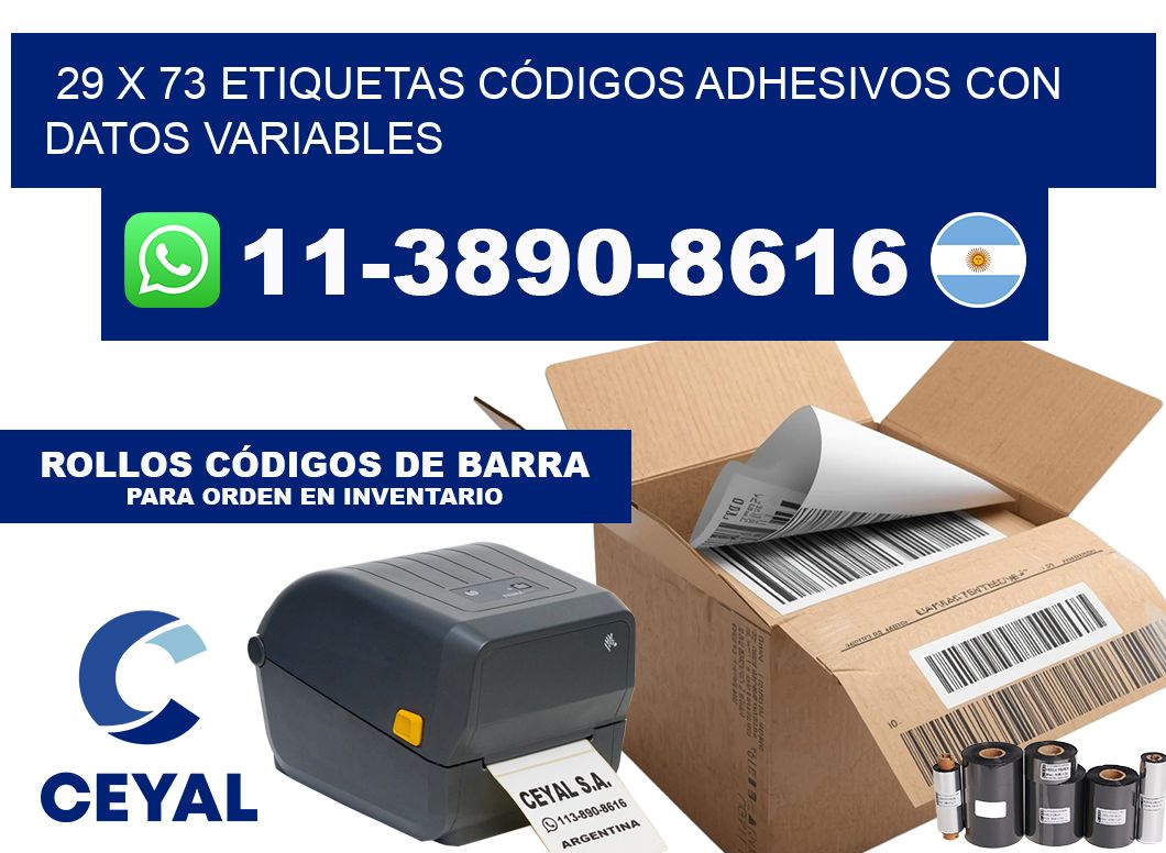 29 x 73 ETIQUETAS CÓDIGOS ADHESIVOS CON DATOS VARIABLES