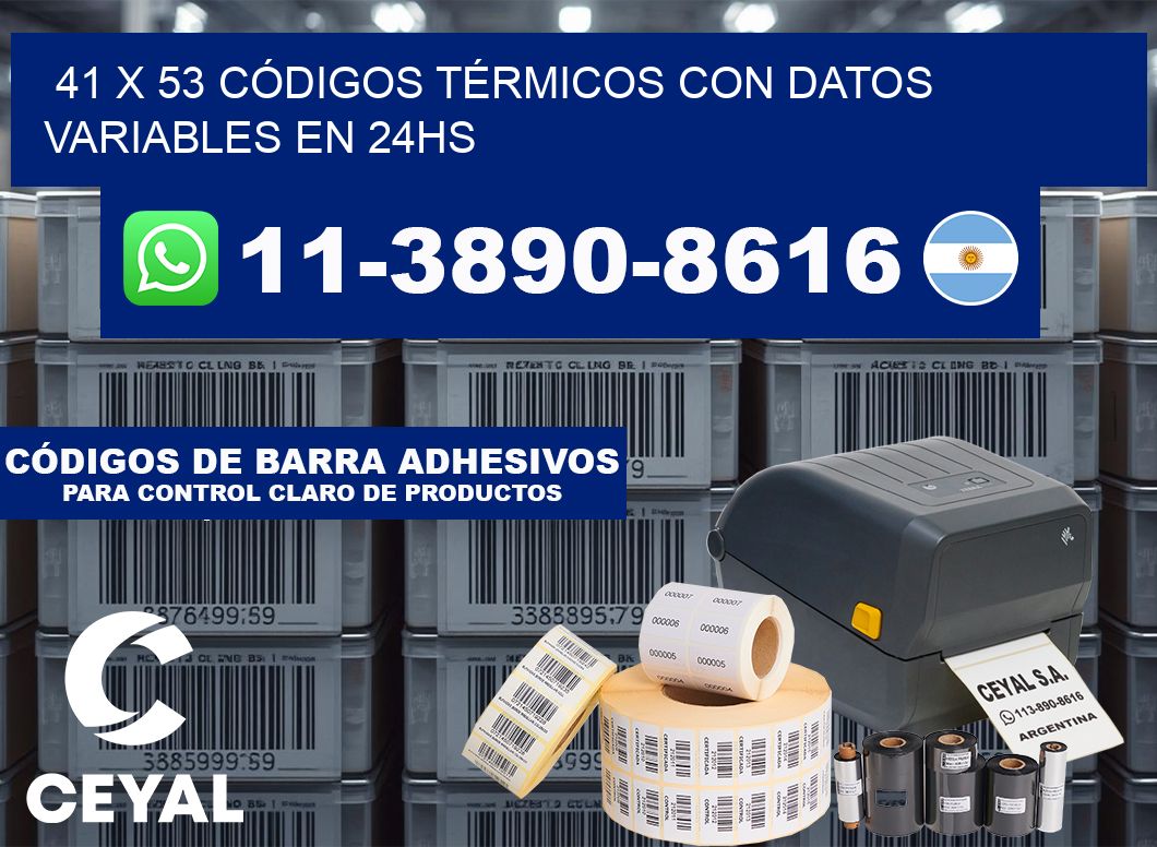 41 x 53 CÓDIGOS TÉRMICOS CON DATOS VARIABLES EN 24HS