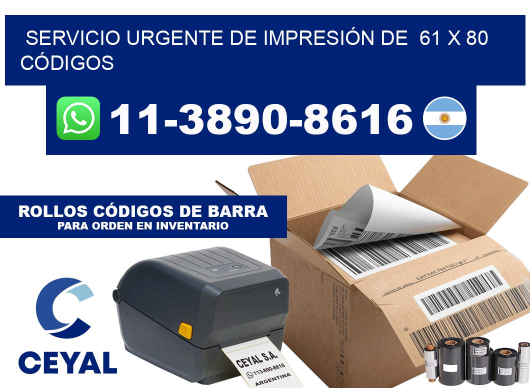 SERVICIO URGENTE DE IMPRESIÓN DE  61 x 80 CÓDIGOS
