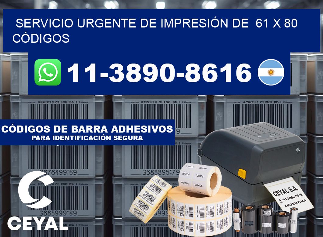 SERVICIO URGENTE DE IMPRESIÓN DE  61 x 80 CÓDIGOS