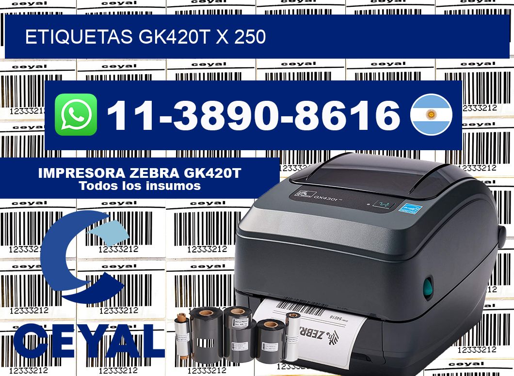 ETIQUETAS GK420T X 250