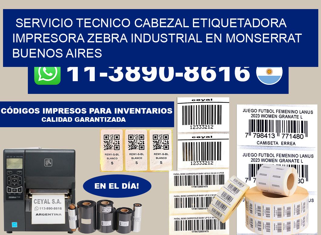 servicio tecnico cabezal etiquetadora impresora zebra industrial en Monserrat  Buenos Aires