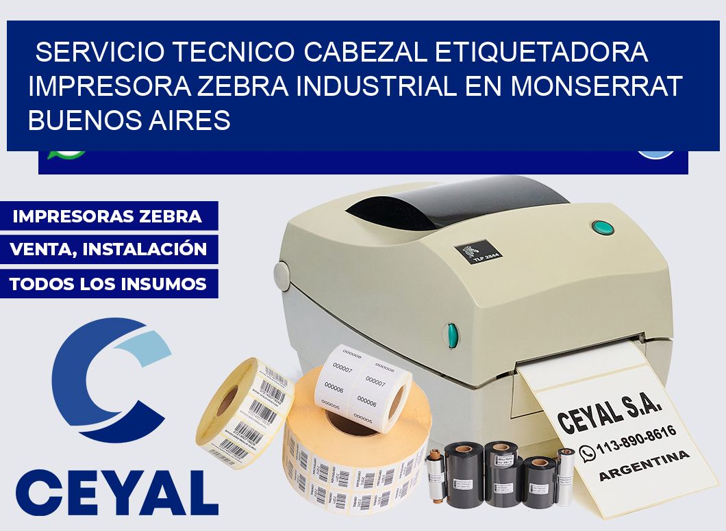 servicio tecnico cabezal etiquetadora impresora zebra industrial en Monserrat  Buenos Aires