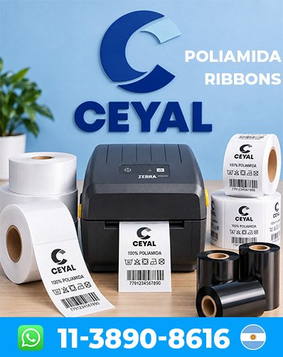 Impresora industrial Zebra Zt510 INSUMOS argentina